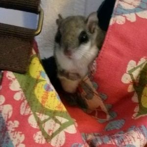 Meet your Posher, Jody